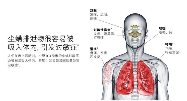三款除螨儀測評，哪一款更值得購買？