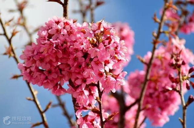11月國(guó)內(nèi)10大旅行地