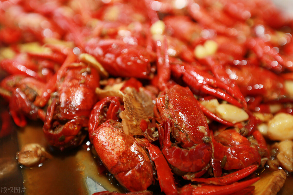 魚價又飄了！小龍蝦漲一倍，甲魚畝賺50萬，魚農(nóng)理性養(yǎng)殖
