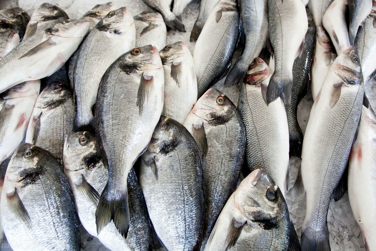 魚價又飄了！小龍蝦漲一倍，甲魚畝賺50萬，魚農(nóng)理性養(yǎng)殖