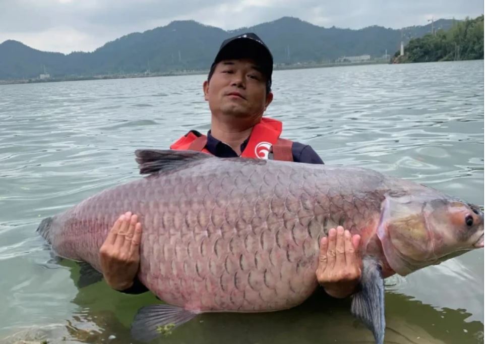 國內魚竿企業(yè)哪家強？如果早點知道，你能少花很多冤枉錢