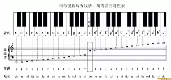 電子琴上哪個(gè)鍵是1234567？這里有你想知道的答案！