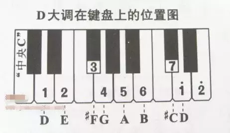 電子琴上哪個(gè)鍵是1234567？這里有你想知道的答案！