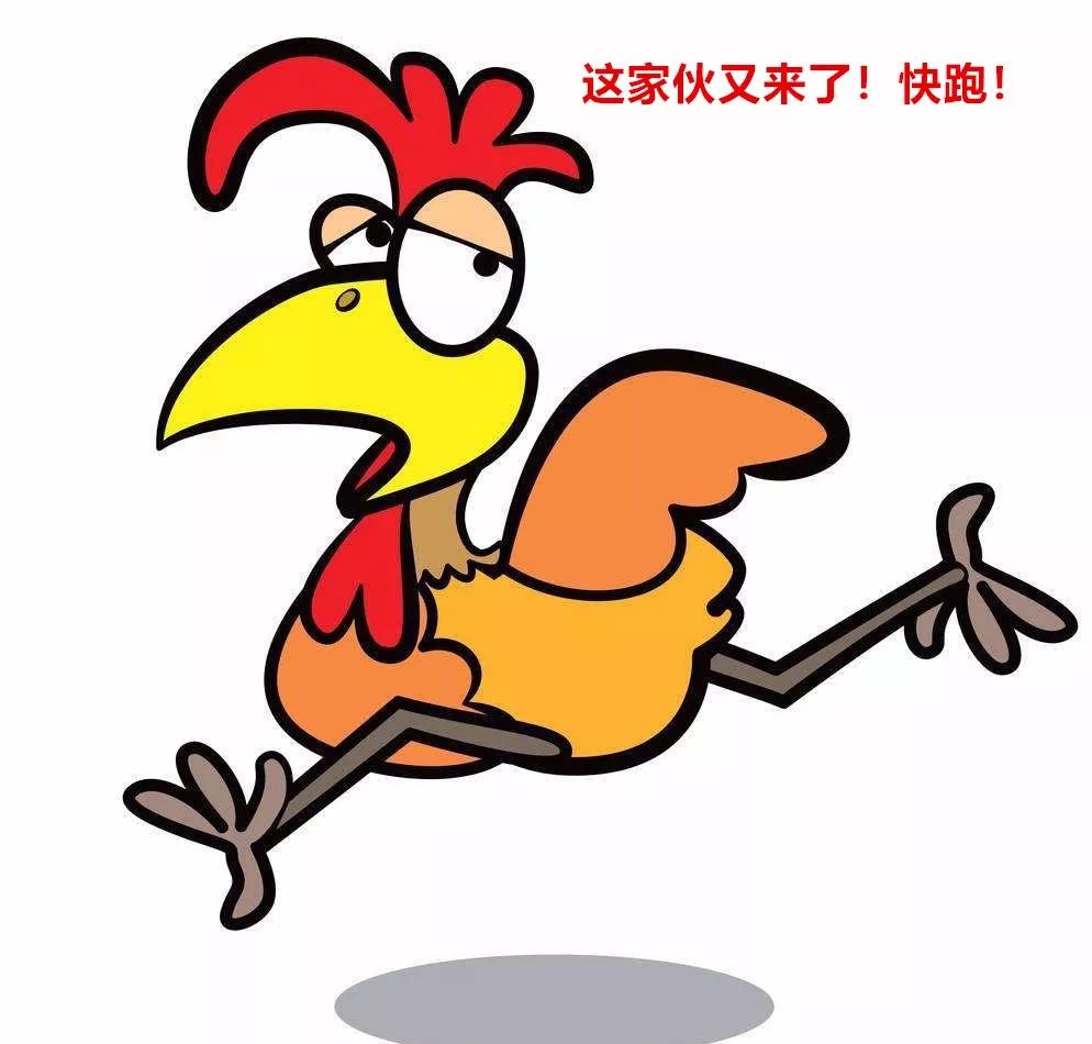 科普：“打雞血”一詞是怎么來的？