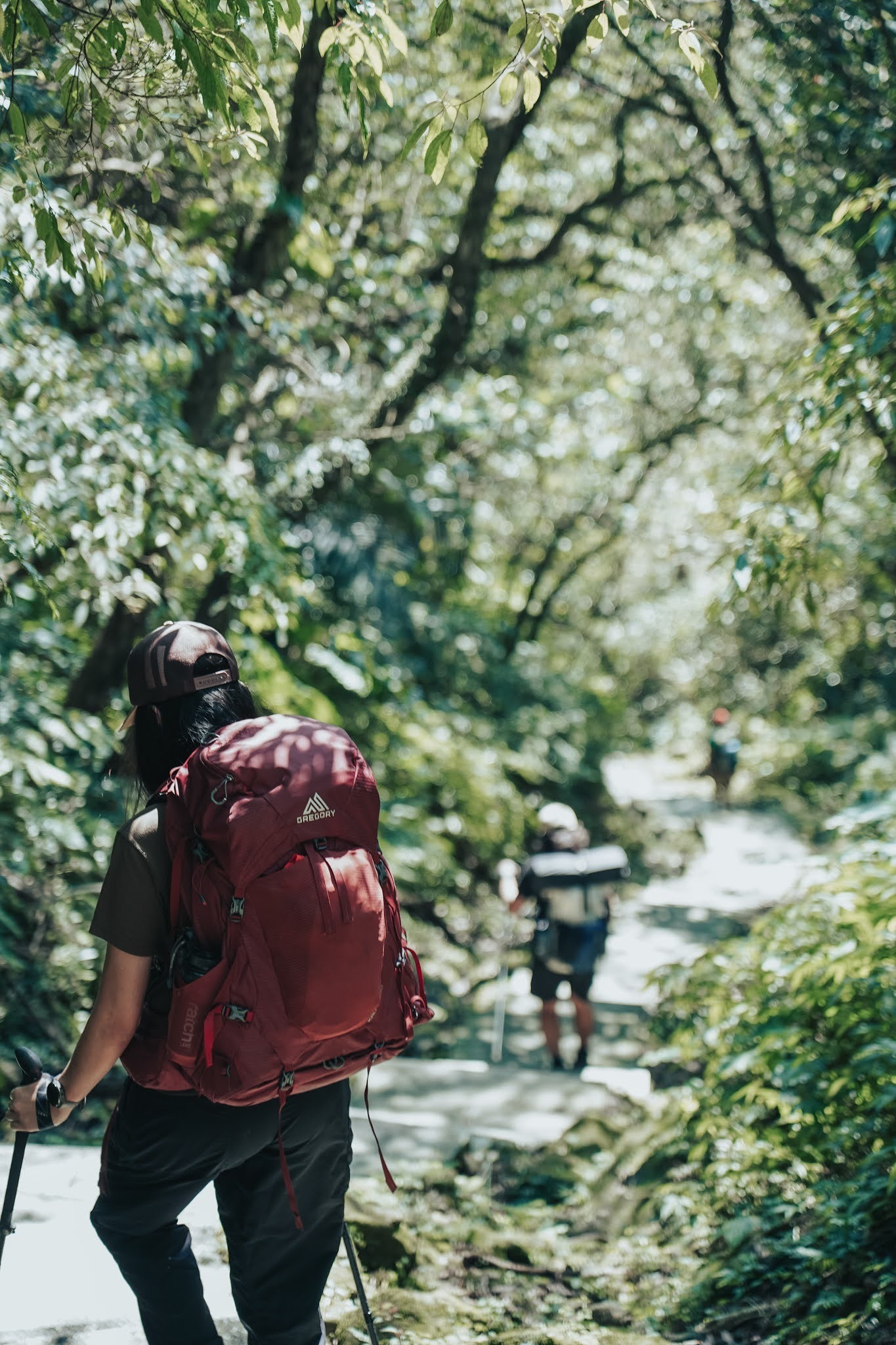 適合登山的大牌背包品牌，Gregory格里高利新款背包實測體驗