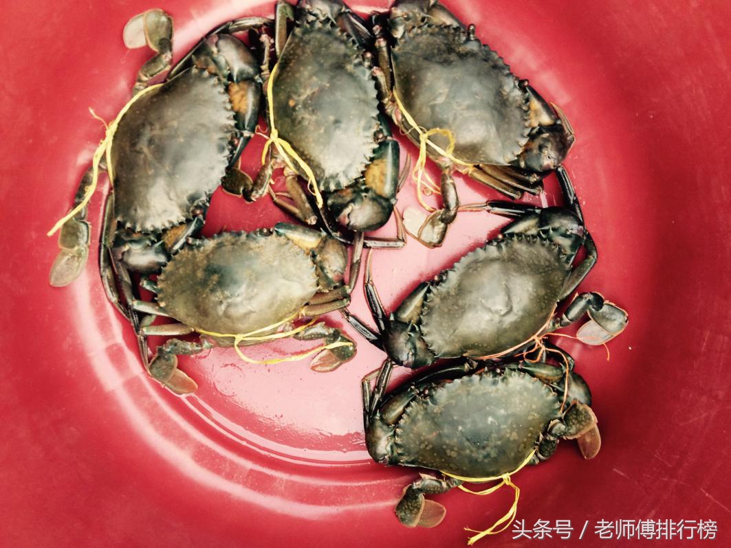大閘蟹品牌六大排行榜，你吃過哪幾種？