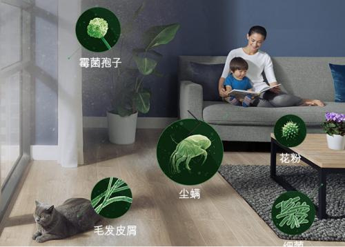 戴森V7 Mattress除螨器，家庭塵螨沒蹤跡