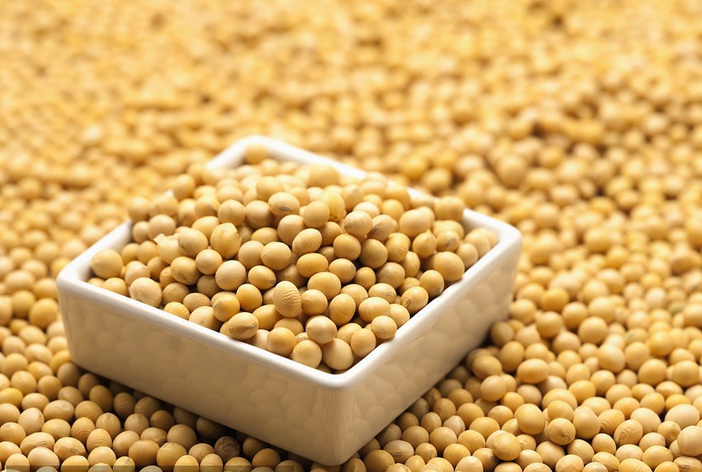 缺乏蛋白質(zhì)有什么癥狀？這7種食物升糖慢、蛋白質(zhì)超豐富！