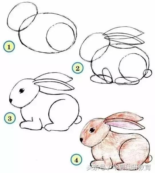 幼兒簡(jiǎn)筆畫(huà)入門簡(jiǎn)單漂亮(幼兒簡(jiǎn)筆畫(huà)大全)(13)