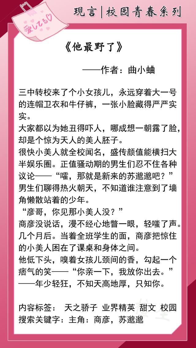 好看的校園言情小說(shuō)(校園青春言情年少時(shí)的喜歡)(3)
