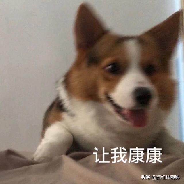 古裝劇推薦女扮男裝(盤點(diǎn)國產(chǎn)劇中優(yōu)質(zhì)的女扮男裝)(3)