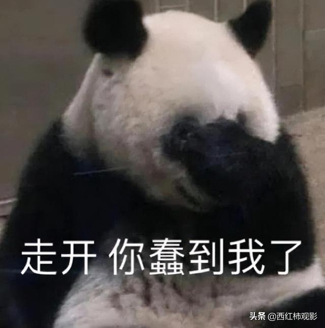 古裝劇推薦女扮男裝(盤點(diǎn)國產(chǎn)劇中優(yōu)質(zhì)的女扮男裝)(2)