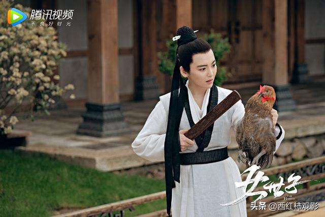 古裝劇推薦女扮男裝(盤點(diǎn)國產(chǎn)劇中優(yōu)質(zhì)的女扮男裝)(7)
