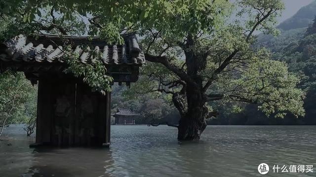 十大必看經(jīng)典韓國電影(24部精選韓國高分電影)(63)