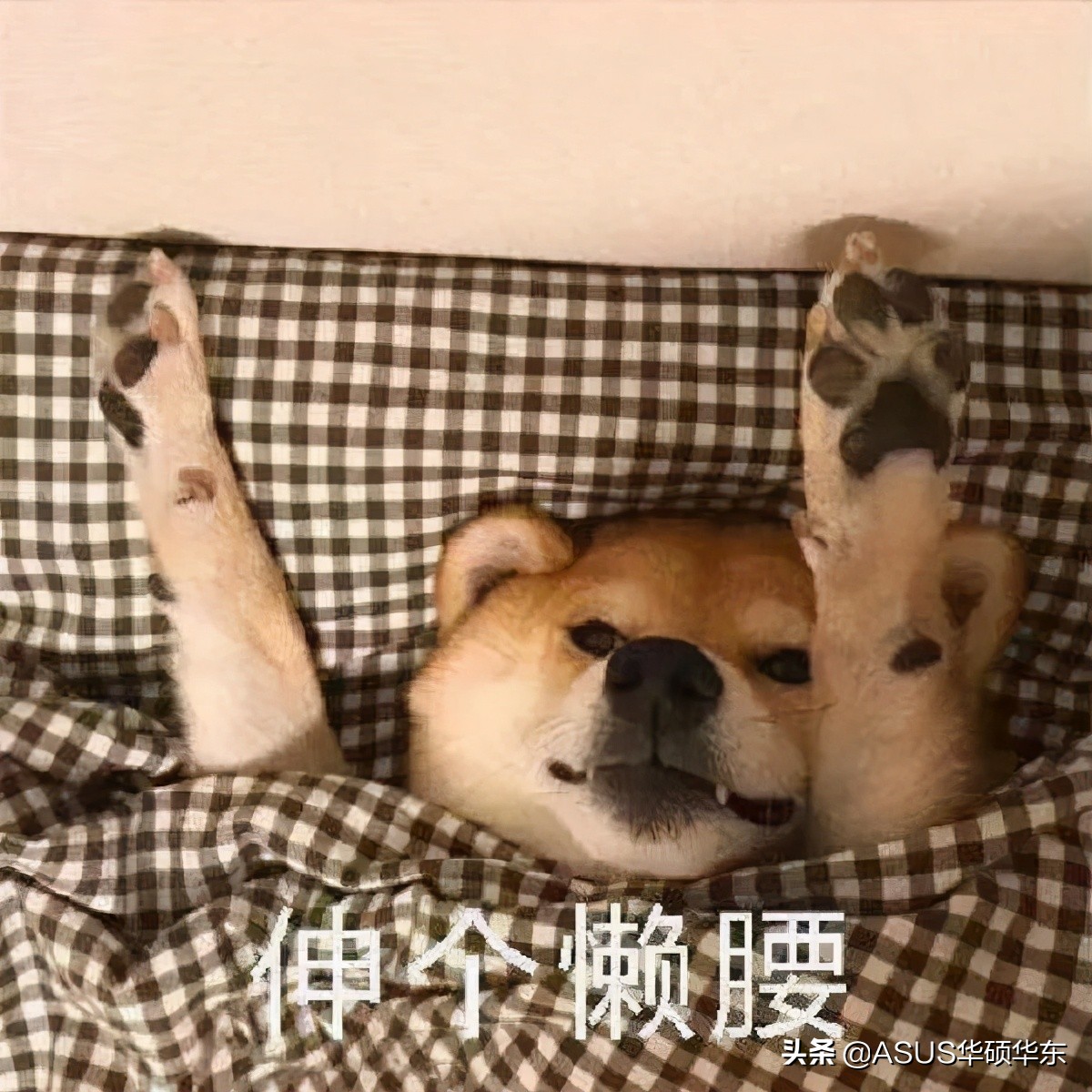 都被微軟騙了，Win10 的關(guān)機鍵竟然是假的