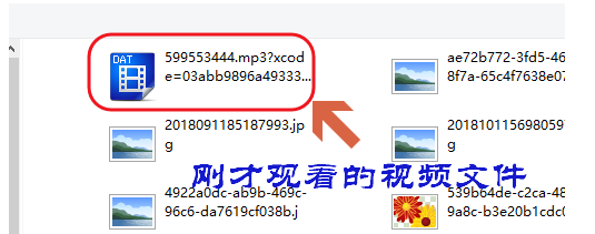 網(wǎng)絡(luò)視頻不支持下載？小租教你快速下載，太方便了！