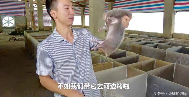 中東流傳已久的這個(gè)禁忌，你真的知道原因嗎｜地球知識(shí)局