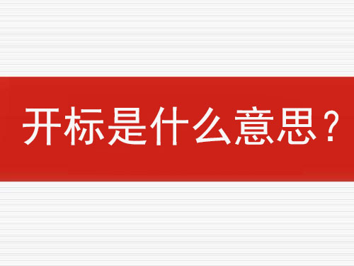 開(kāi)標(biāo)是什么意思？