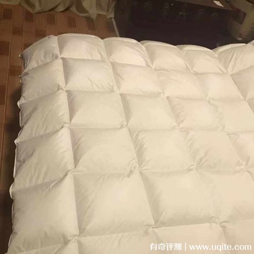 南極人羽絨被質(zhì)量怎么樣，真實使用體驗(大朵羽絨舒適蓬松)