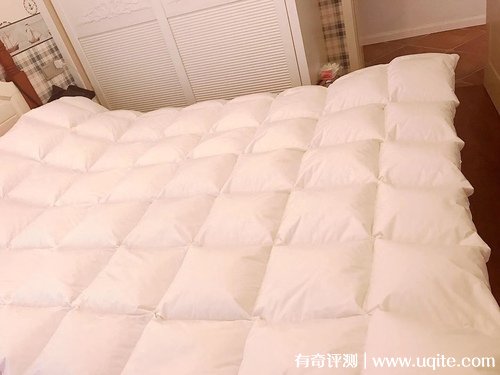 南極人羽絨被質(zhì)量怎么樣，真實使用體驗(大朵羽絨舒適蓬松)