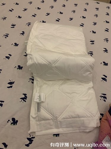 downland羽絨被好不好哪國品牌，真實(shí)使用體驗(yàn)(英國知名品牌)