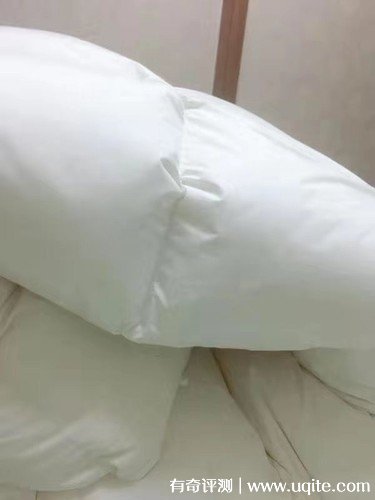 杉杉家紡羽絨被質(zhì)量怎么樣，真實(shí)使用體驗(yàn)(大朵羽絨輕盈保暖)