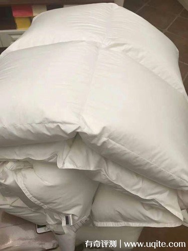 杉杉家紡羽絨被質(zhì)量怎么樣，真實(shí)使用體驗(yàn)(大朵羽絨輕盈保暖)