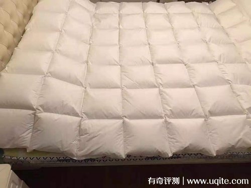 杉杉家紡羽絨被質(zhì)量怎么樣，真實(shí)使用體驗(yàn)(大朵羽絨輕盈保暖)