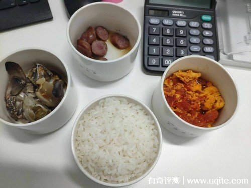 生活元素電熱飯盒怎么樣，真實(shí)使用體驗(yàn)(蒸/煮/熱多花樣)