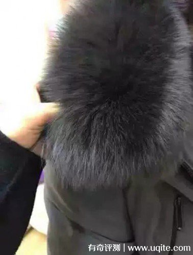 塞爾伯恩羽絨服怎么樣什么檔次，真實(shí)購(gòu)買(mǎi)體驗(yàn)(大眾消費(fèi)品牌)
