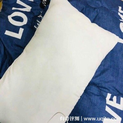 南極人枕頭芯怎么樣可以機洗嗎，真實使用體驗(可機洗)